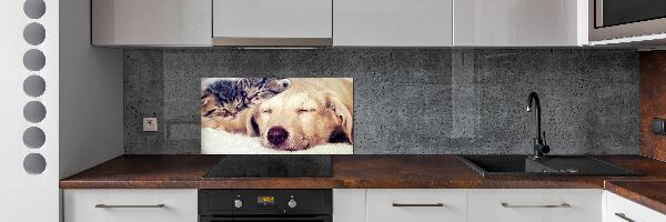 Keuken achterwand Puppy's en katten