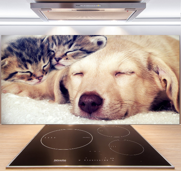 Keuken achterwand Puppy's en katten