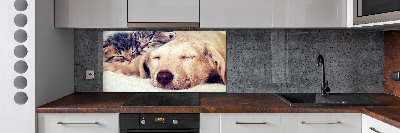 Keuken achterwand Puppy's en katten