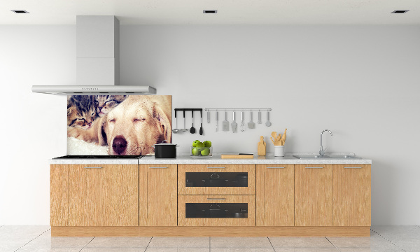 Keuken achterwand Puppy's en katten