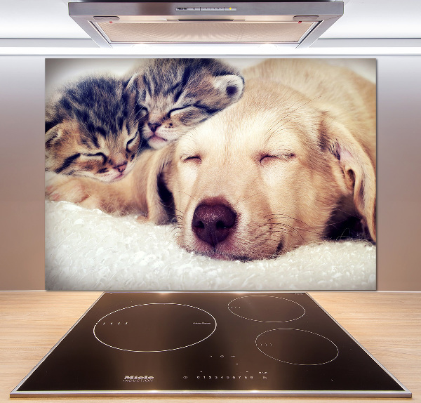 Keuken achterwand Puppy's en katten