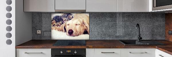 Keuken achterwand Puppy's en katten