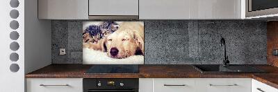 Keuken achterwand Puppy's en katten