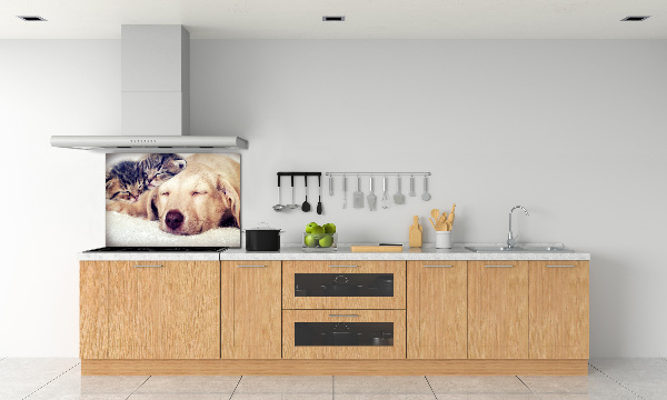 Keuken achterwand Puppy's en katten
