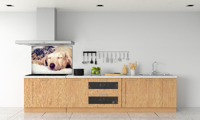 Keuken achterwand Puppy's en katten