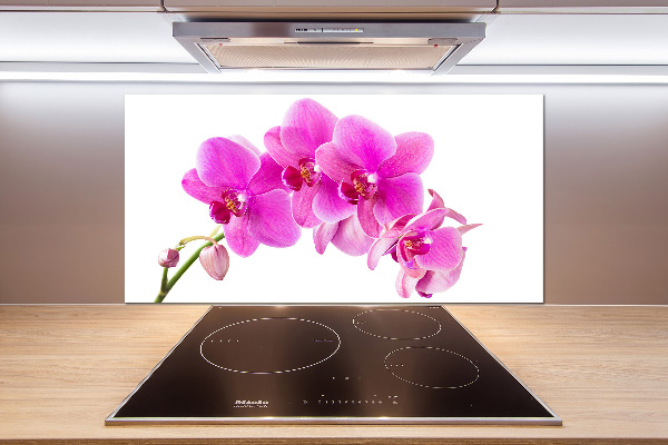 Spatscherm keuken Roze orchidee