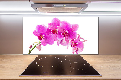 Spatscherm keuken Roze orchidee