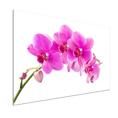 Spatscherm keuken Roze orchidee