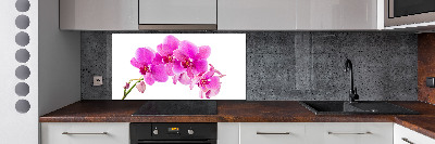 Spatscherm keuken Roze orchidee