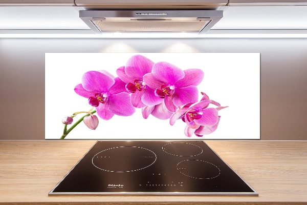 Spatscherm keuken Roze orchidee