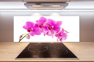 Spatscherm keuken Roze orchidee