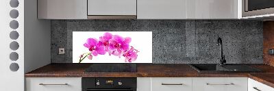Spatscherm keuken Roze orchidee