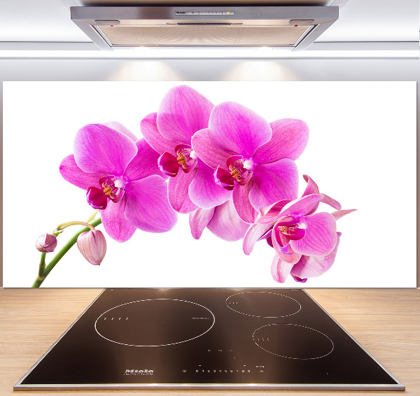 Spatscherm keuken Roze orchidee