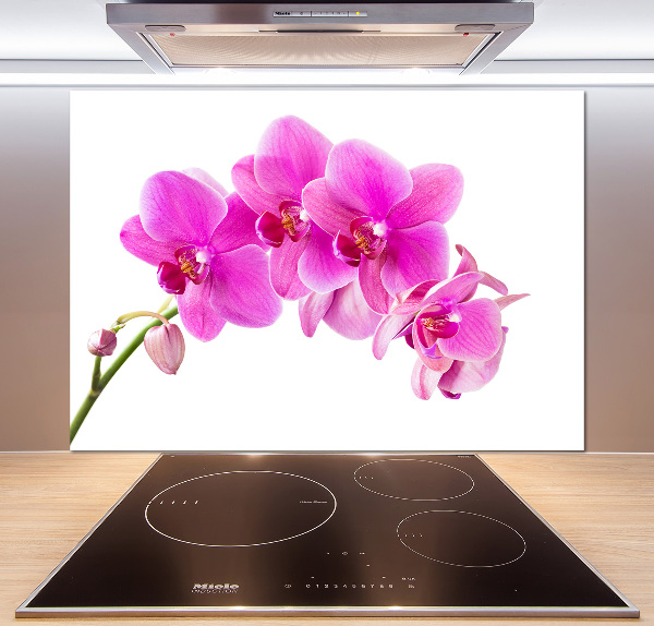 Spatscherm keuken Roze orchidee
