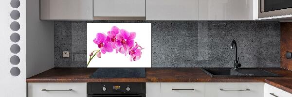 Spatscherm keuken Roze orchidee