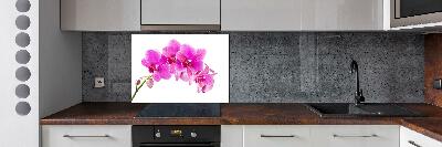 Spatscherm keuken Roze orchidee