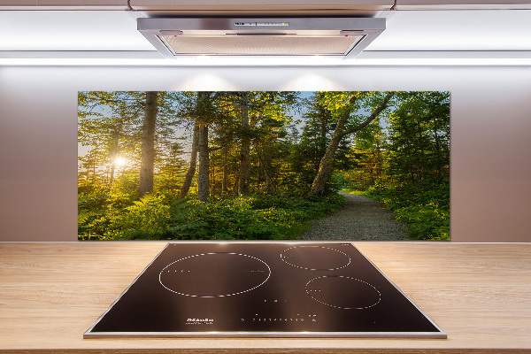 Spatplaat keuken Woud