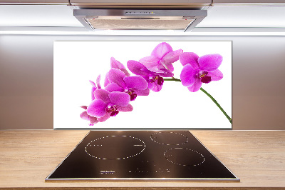 Keuken achterwand Roze orchidee