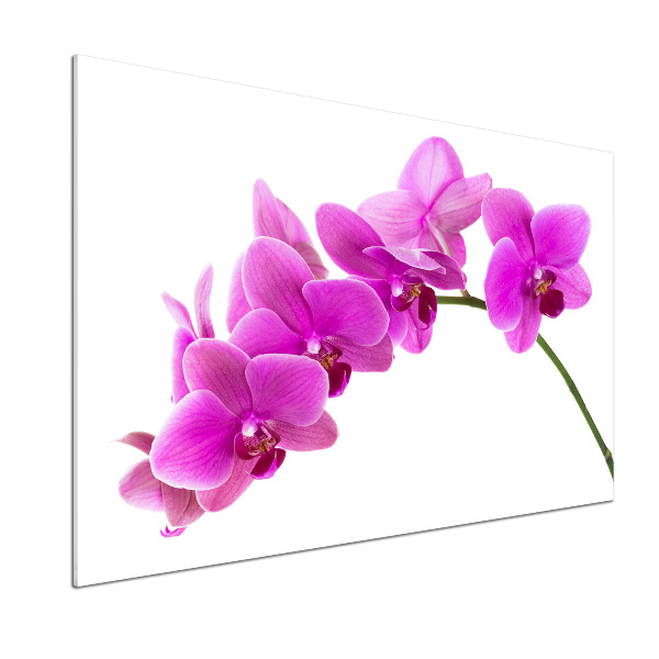 Keuken achterwand Roze orchidee