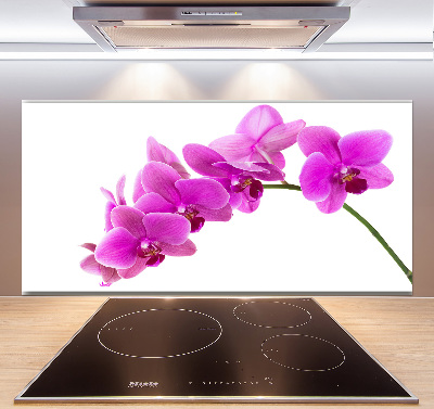 Keuken achterwand Roze orchidee