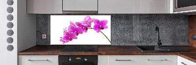 Keuken achterwand Roze orchidee