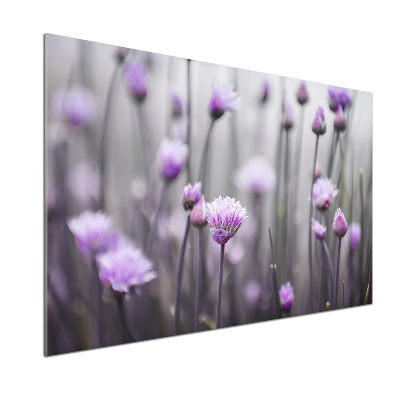 Glazen achterwand keuken Bieslookbloemen
