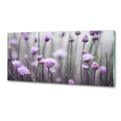 Glazen achterwand keuken Bieslookbloemen