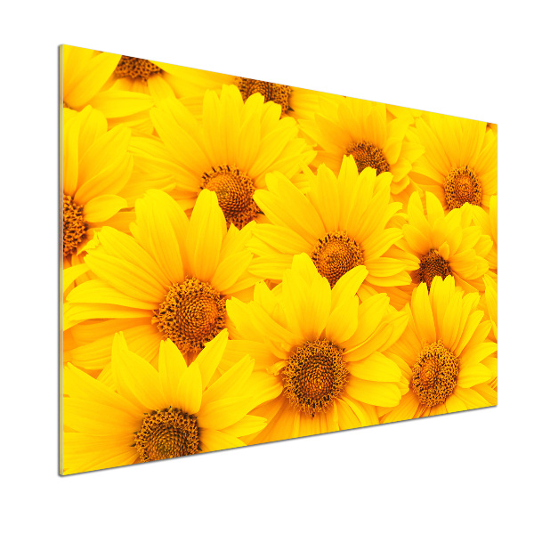 Achterwand keuken Zonnebloemen