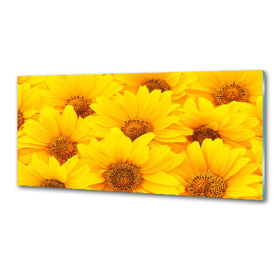 Achterwand keuken Zonnebloemen