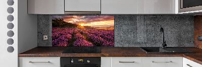 Keuken achterwand Lavendelveld
