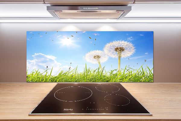 Glazen achterwand keuken Paardenbloemen