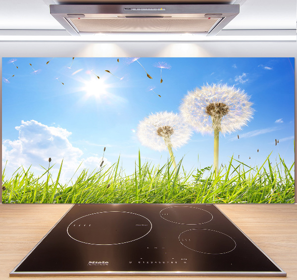 Glazen achterwand keuken Paardenbloemen