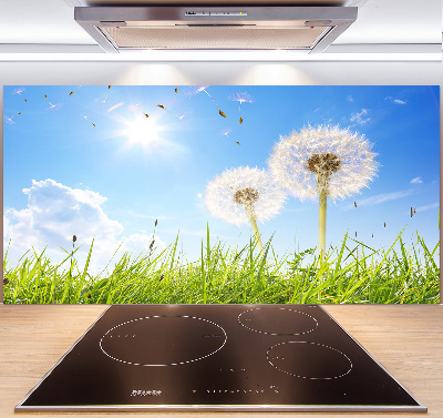 Glazen achterwand keuken Paardenbloemen