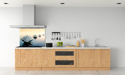Spatplaat keuken Lotusbloemen