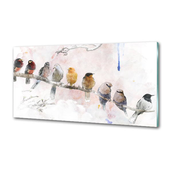 Spatplaat keuken Vogels op een tak