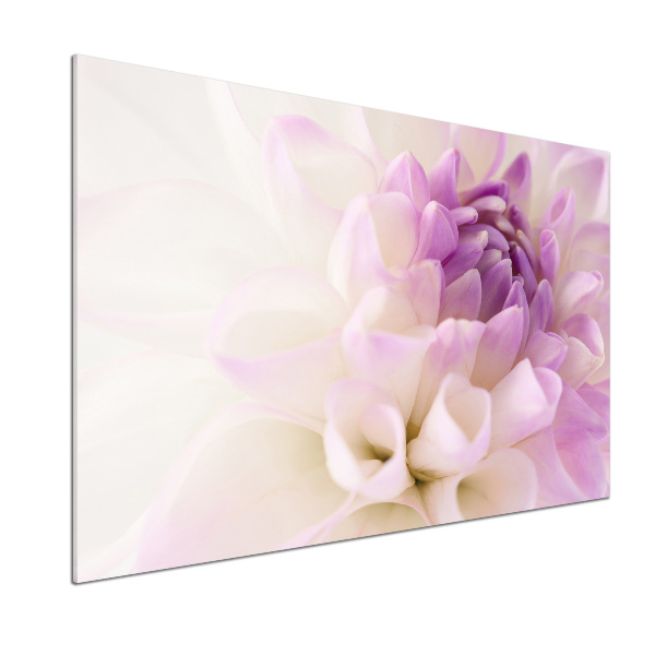 Keuken achterwand Witte dahlia