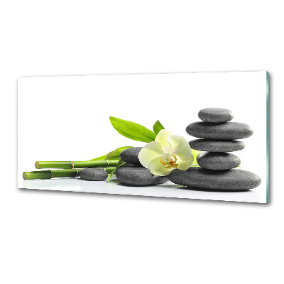 Glazen achterwand keuken Orchidee