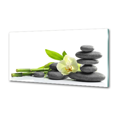 Glazen achterwand keuken Orchidee