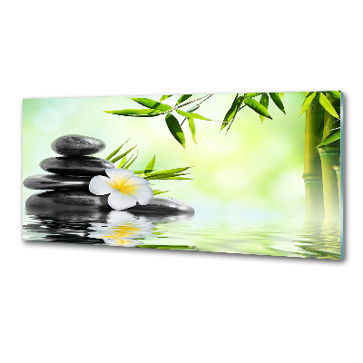 Spatscherm keuken Plumeria en bamboe