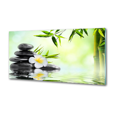 Spatscherm keuken Plumeria en bamboe