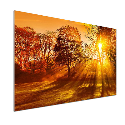 Keuken achterwand Zonsondergang