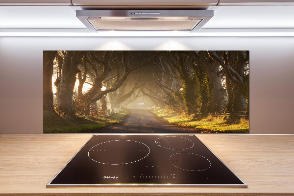 Glazen achterwand keuken Mist in het bos