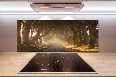 Glazen achterwand keuken Mist in het bos