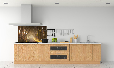 Glazen achterwand keuken Mist in het bos