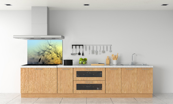 Spatplaat keuken Paardenbloemzaden