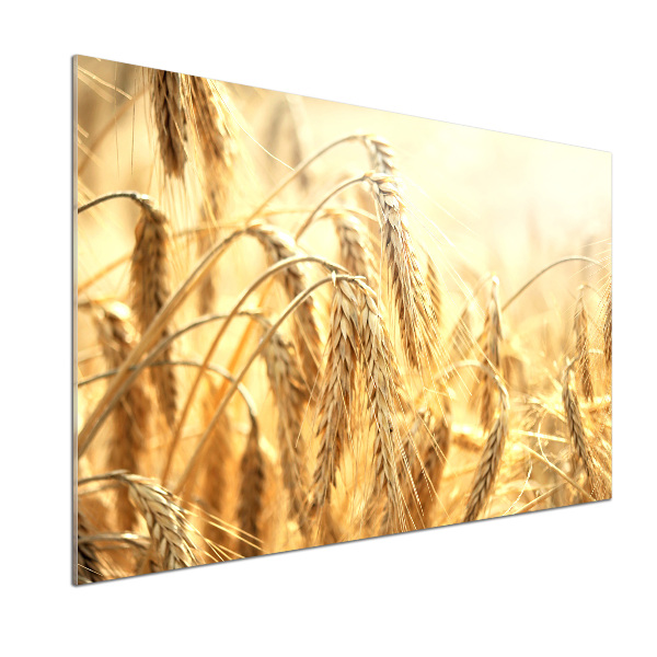 Keuken achterwand Graan