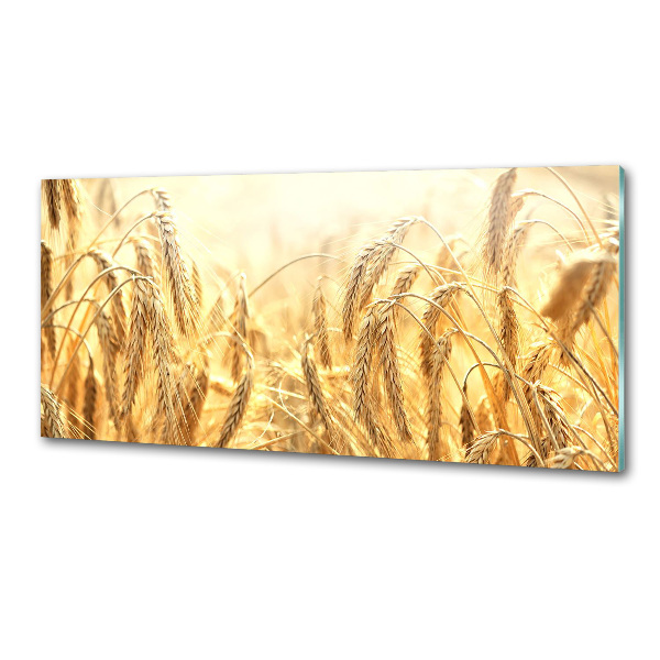 Keuken achterwand Graan