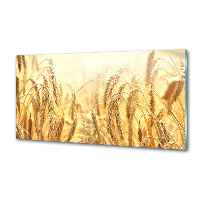 Keuken achterwand Graan