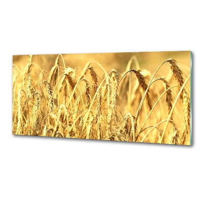 Glazen achterwand keuken Graan