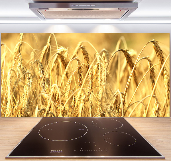 Glazen achterwand keuken Graan